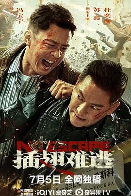 《如意芳菲》主视觉